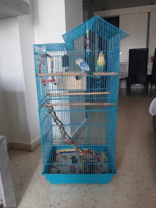 Jaula para pájaros azul