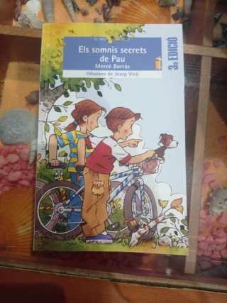 Els somnis secrets de Pau