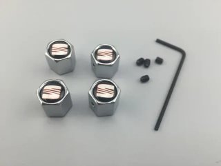 Tapones antirrobo válvulas llantas Seat cromado