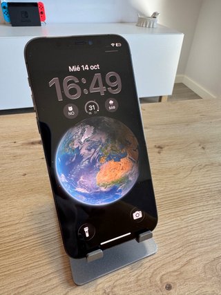 iPhone 12 Pro 256GB Gris Espacial