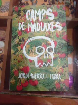 Camps de maduixes