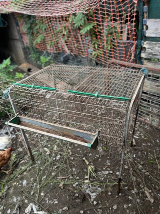 Jaula para gallinas con comedero