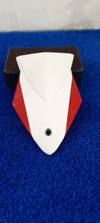 Tapa de colín monoplaza BMW S1000RR