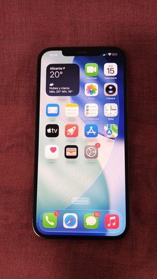 iPhone 12 Pro Max Gris/Plata