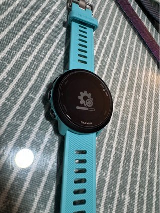 Garmin Forerunner 55 Azul