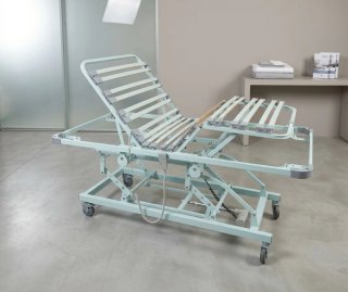 CAMA ARTICULADA ELÉCTRICA ELEVABLE CON MANDO