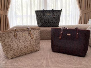 Bolso Coach Top Calidad 1.1