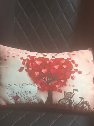 Cojín Decorativo con Estampado