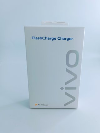 Caricabatterie VIVO 100W FLASHCHARGE V10091LOA1 USB-C EU