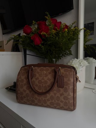 Bandolera Coach de Cuero