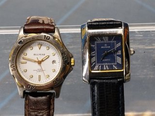 Orologi da polso Blumar