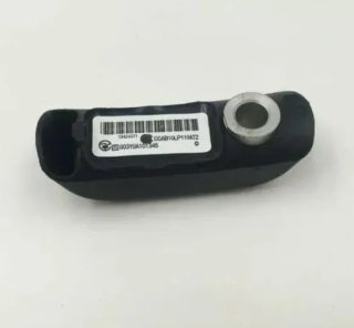Sensor presión neumático BMW sin válvula