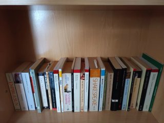 Lote libros en inglés