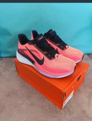 Zapatillas Nike Pegasus42  usadas dos veces