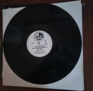 1994 ELECTRÓNICA. Tony Wilson feat. Alex Warner.