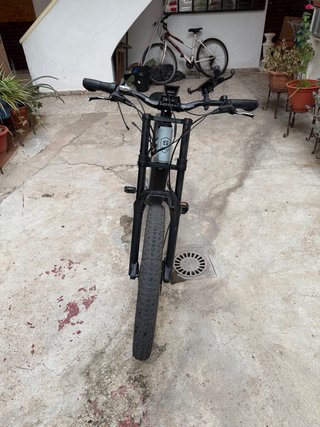 Bicicleta elettrica da montagna