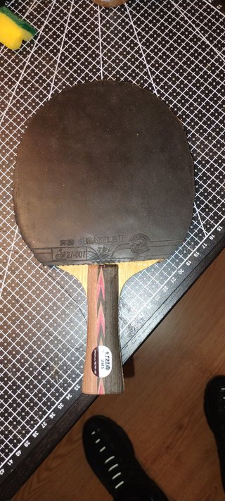 Raqueta Tenis de Mesa DHS y 729