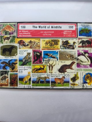 Lote diverso di 100 francobolli di animali del mondo