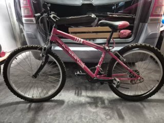 Bicicleta Infantil JL-Wenti 24 Pollici