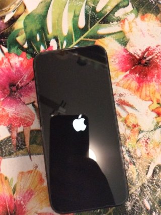 iPhone 16 Pro Max Negro