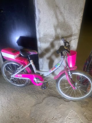 Bicicletta Bambina Pimpa 20 con Cestino