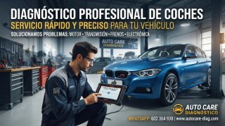 Servicio de Diagnosis y Borrado de Testigos - OBD2
