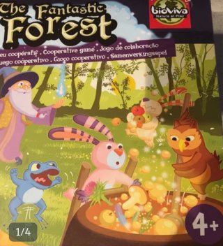 Gioco da tavolo The Fantastic Forest