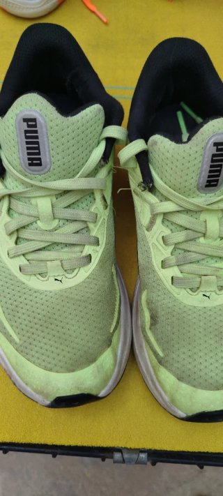 Zapatillas Puma Verde Lima