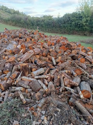 Leña verde para chimenea o barbacoa