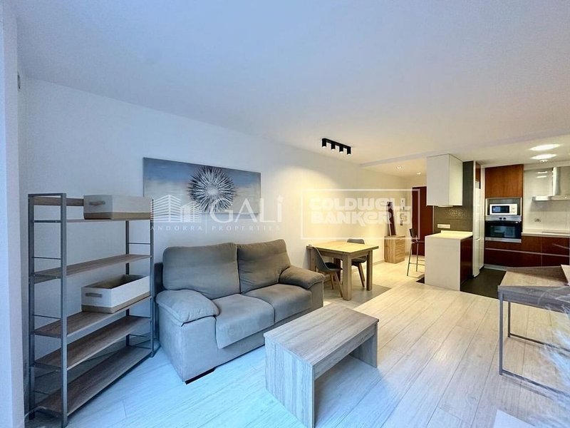 Piso de 1 habitaciones en alquiler en Escaldes-Engordany · 12 de 31