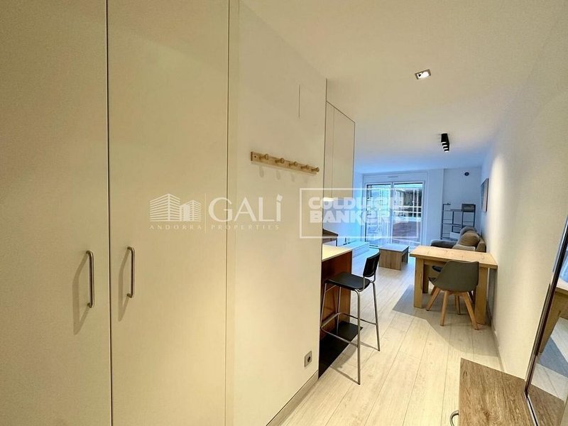 Piso de 1 habitaciones en alquiler en Escaldes-Engordany · 19 de 31