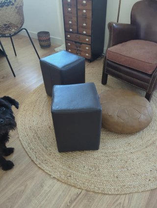 Taburetes de cuero marrón (2 unidades)