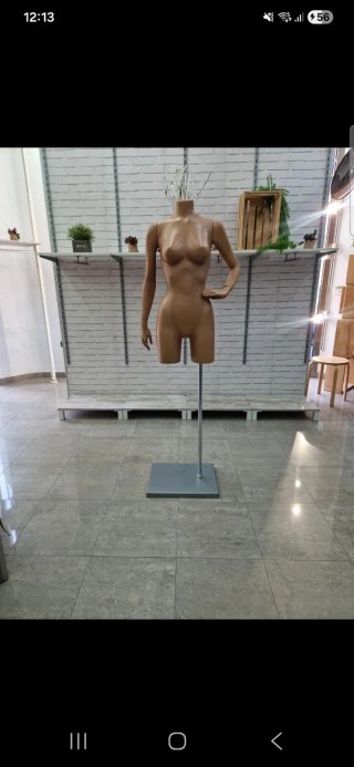 Maniquí de Torso Femenino