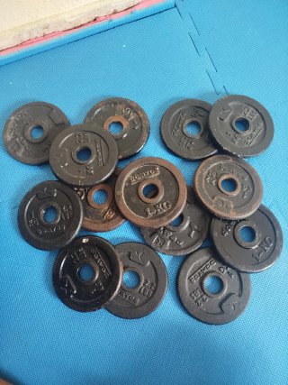 14 Pesas de 1 kg