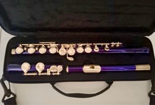Flauta Thomann Startone Violeta