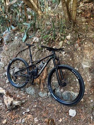 Cannondale Scalpel 4 2026 nueva