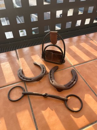 Lote Antiguo de Equitación antiguo