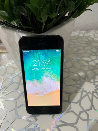 iPhone 5s 16 GB Argento/Grigio Siderale