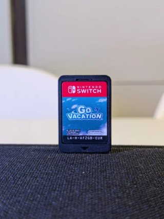Go Vacation Nintendo Switch