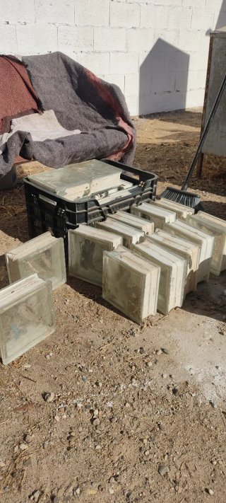 Lote de bloques de pavés de vidrio