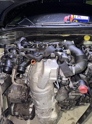 Despiece entero de motor 9HX