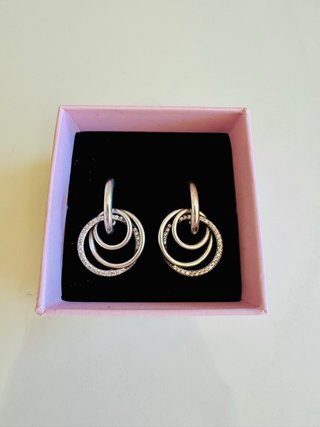 Pendientes de Aro Círculo Familiar