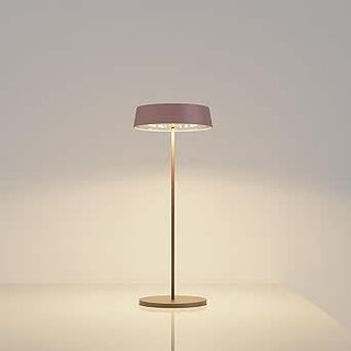 Lámpara mesa LED inalámbrica regulable IP54
