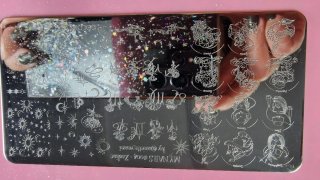 Lote 5 .Placas de stamping para uñas