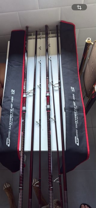 2 Cañas Surfcasting Cinnetic Luxyfer TZ 425