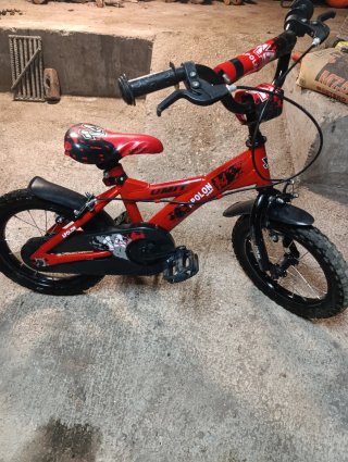 Bicicleta Infantil Apolon Sport 14