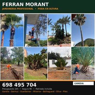 FERRAN MORANT JARDINERÍA