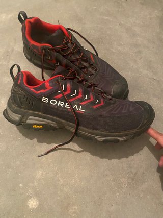 Zapatillas Boreal Alligator X