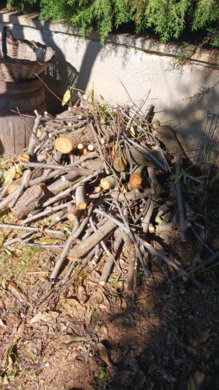 Lote de leña para chimenea