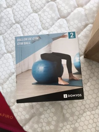 Pelota de Gimnasio Domyos